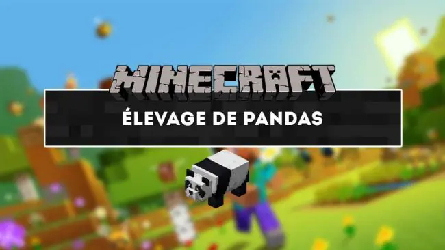 Minecraft : Comment apprivoiser et élever des pandas ?