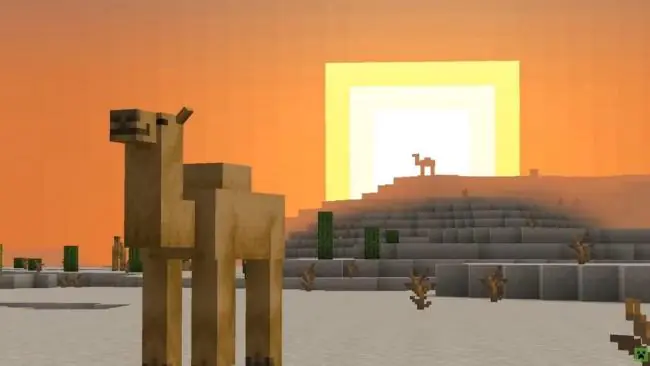 Minecraft 1.20 Trails & Tales : Mobs, animaux, biomes, toutes les nouveautés